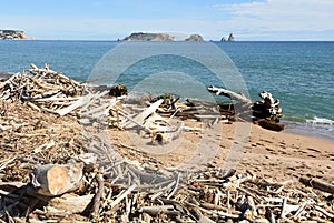 The remains of the storm accumulate on the beach of La Gola del Ter, Girona province, Catalonia, Spain photo