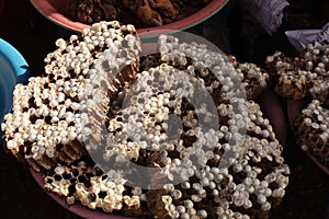 Remains of wasp nest - for sale at Phonsavan market