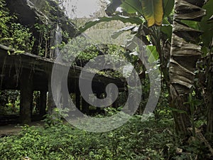 Remains of the Wolrd War II Japanese command post on Eten Island photo