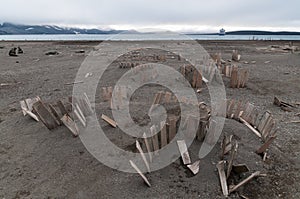 Remains of wooden whale oil barrels, Whalers Bay, Deception Island, Antarctic Peninsula