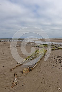 The remains of a wreck on Montrose Beach with its metal hull plates exposed by the low tide