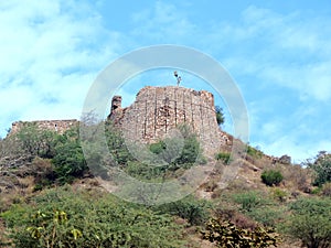 Remants of the fort of King Ratan Singh in Madhya Pradesh, India