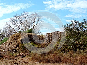 Remants of the fort of King Ratan Singh in Madhya Pradesh, India