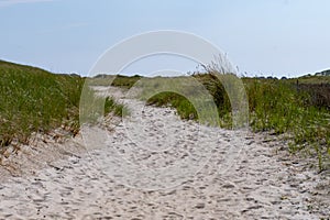 Remarcable dunes of Amrum (Oomram) in Northern Germany at the Northern See