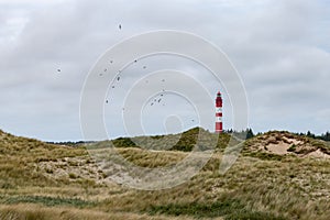 Remarcable light house of Amrum (Oomram) in Northern Germany at the Northern See