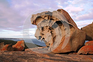 Notable rocas canguro isla 