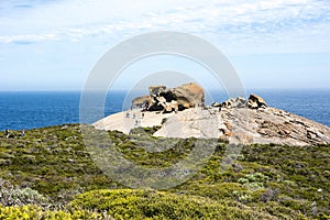 Remarkable Rocks Kangaroo Island, Australia