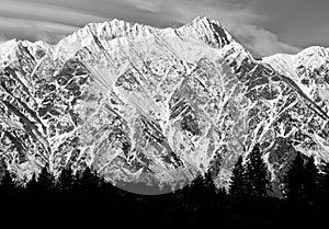 The Remarkables Mountain Range with trees silhouette in black and white in  Queenstown New Zealand