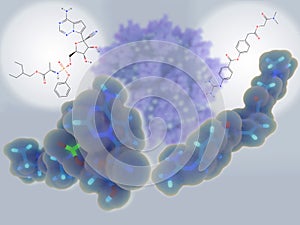 Remdessivir and camostat, potential drugs against coronavirus  SARS-CoV_2