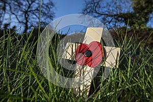 Remember the Fallen Heroes - Poppy Day photo