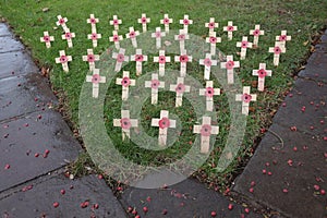 Remember those who fell