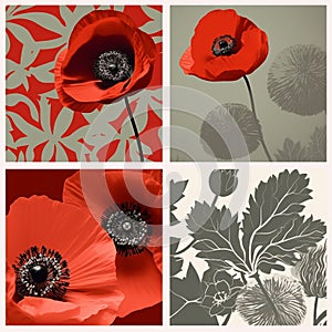 Remembering the Sacrifices of Fallen Soldiers with Poppies, Crosses, and Medals
