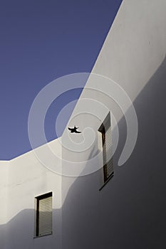 Summer wind over window