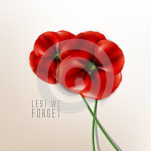 Remembrance day - 11 november - lest we forget