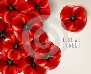 Remembrance day - 11 november - lest we forget