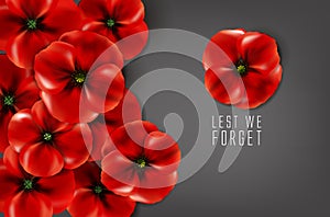 Remembrance day - 11 november - lest we forget