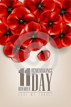 Remembrance day - 11 november - lest we forget