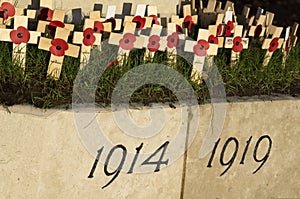 Remembrance day photo