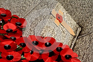 Remembrance Day photo