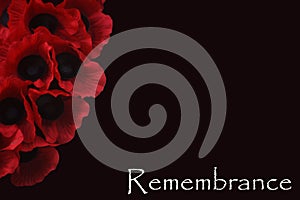 Remembrance Day Armistice Poppy Wreath Scene