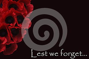 Remembrance Day Armistice Poppy Wreath Scene