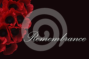 Remembrance Day Armistice Poppy Wreath Scene