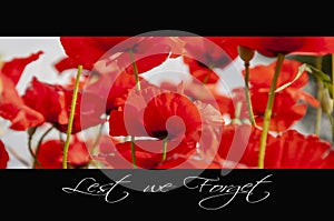 Remembrance day background photo