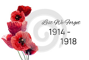 Remembrance day banner with poppy flowers against white background