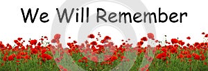 Remembrance day banner. Red poppy flowers in field and text We will Remember on white background