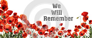 Remembrance day card. Red poppy flowers and text We Will Remember on white background