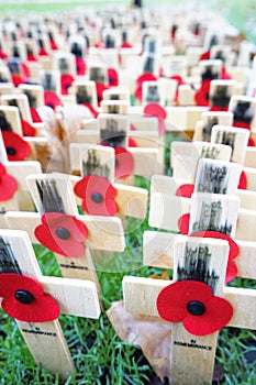 Remembrance day display in Westminster Abbey