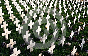 Remembrance Day Garden Crosses