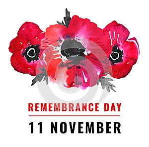 Remembrance day illustration. Poppy flowers and title 11 November. Hand drawn watercolor sketch