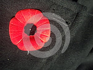 Remembrance Day poppy