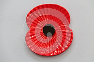 Remembrance Day Poppy.