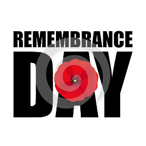 Remembrance day poppy card