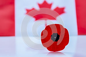 A remembrance day poppy flower with a Canadian Flag on the background