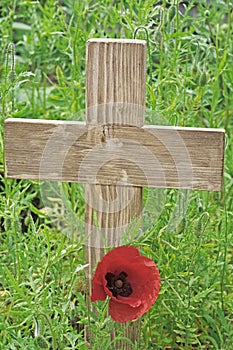 Remembrance day a poppy and a wooden cross