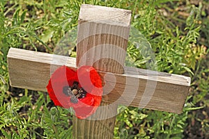 Remembrance day a poppy and a wooden cross