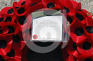 Remembrance day poppy wreath