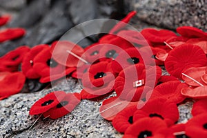 Remembrance Day red poppy flowers on Tomb of the Unknown Soldier in Ottawa, Canada.