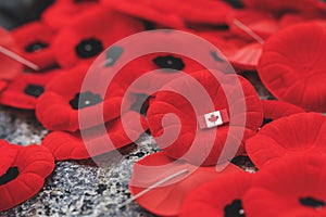 Remembrance Day red poppy flowers on Tomb of the Unknown Soldier in Ottawa, Canada.