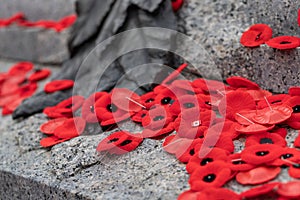 Remembrance Day red poppy flowers on Tomb of the Unknown Soldier in Ottawa, Canada.