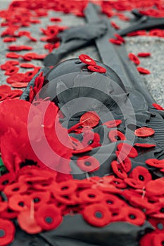 Remembrance Day red poppy flowers on Tomb of the Unknown Soldier in Ottawa, Canada.