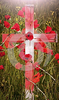 Remembrance Day - wooden cross with poppies and barb wire