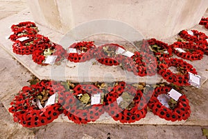 Remembrance poppy