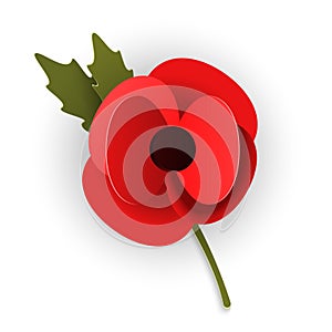 Remembrance poppy appeal in paper cut style. Modern origami design red flower isolated on white background. Vector