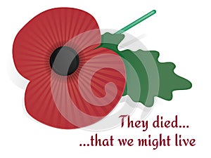 Remembrance Poppy Card