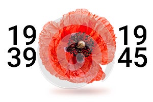 Remembrance poppy and lest we forget the concept banner. Anzac day also known as Armistice day