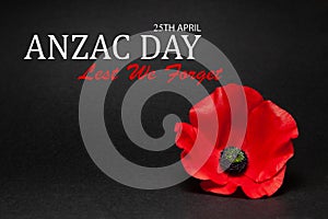 The remembrance poppy - poppy appeal. Poppy flower on black background. Decorative flower for Anzac Day.